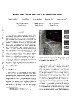 Look at here : Utilizing supervision to attend subtle key regions