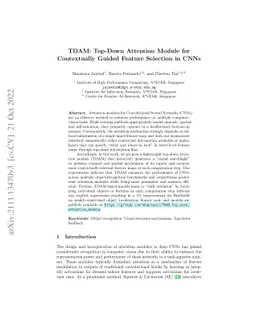 TDAM: Top-Down Attention Module for Contextually Guided Feature
  Selection in CNNs