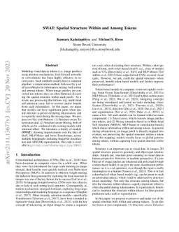 SWAT: Spatial Structure Within and Among Tokens