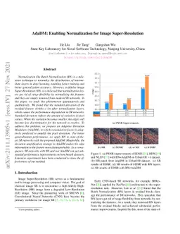 AdaDM: Enabling Normalization for Image Super-Resolution
