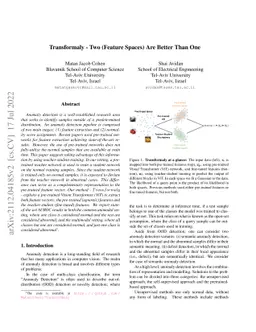 Transformaly -- Two (Feature Spaces) Are Better Than One