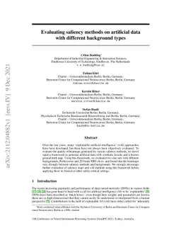 Evaluating saliency methods on artificial data with different background
  types