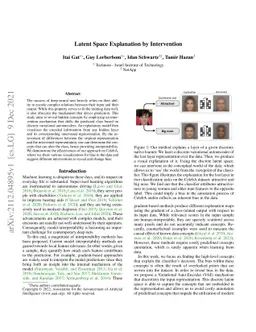Latent Space Explanation by Intervention