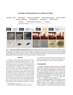 Self-Supervised Keypoint Discovery in Behavioral Videos
