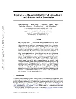 OstrichRL: A Musculoskeletal Ostrich Simulation to Study Bio-mechanical
  Locomotion
