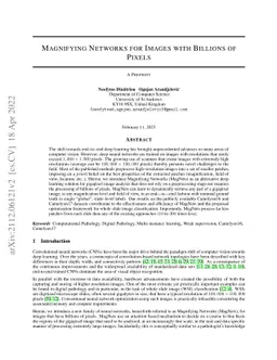 Magnifying Networks for Images with Billions of Pixels