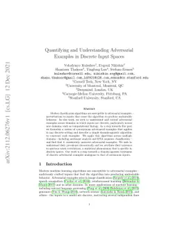 Quantifying and Understanding Adversarial Examples in Discrete Input
  Spaces