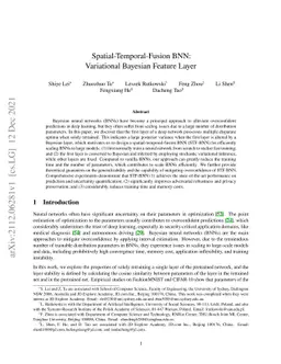 Spatial-Temporal-Fusion BNN: Variational Bayesian Feature Layer