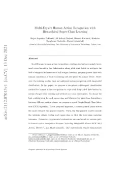 Multi-Expert Human Action Recognition with Hierarchical Super-Class
  Learning