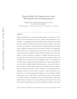 Marine Bubble Flow Quantification Using Wide-Baseline Stereo
  Photogrammetry