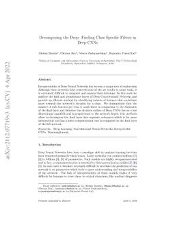 Decomposing the Deep: Finding Class Specific Filters in Deep CNNs