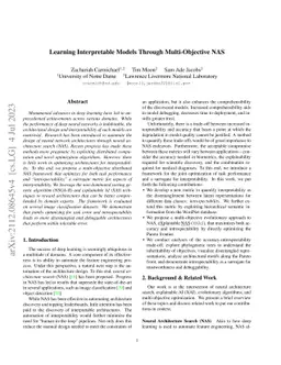 Learning Interpretable Models Through Multi-Objective Neural
  Architecture Search