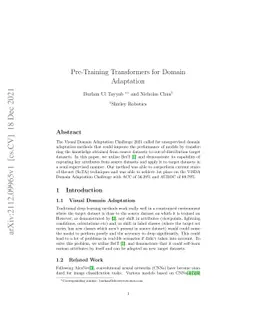 Pre-Training Transformers for Domain Adaptation