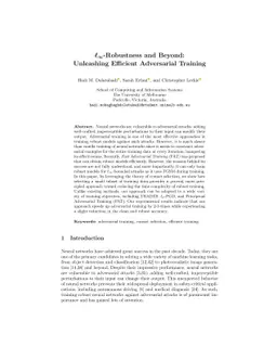 $\ell_\infty$-Robustness and Beyond: Unleashing Efficient Adversarial
  Training