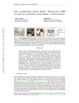The Augmented Image Prior: Distilling 1000 Classes by Extrapolating from
  a Single Image