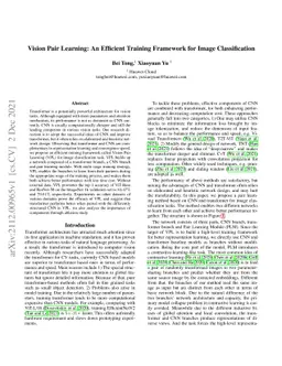 Vision Pair Learning: An Efficient Training Framework for Image
  Classification