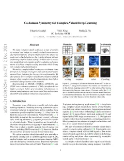 Co-domain Symmetry for Complex-Valued Deep Learning
