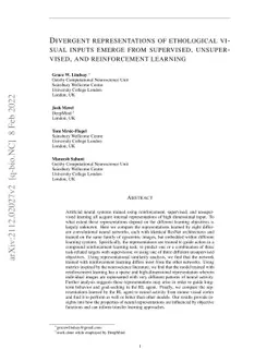 Divergent representations of ethological visual inputs emerge from
  supervised, unsupervised, and reinforcement learning