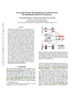 Pose-guided Feature Disentangling for Occluded Person Re-identification
  Based on Transformer
