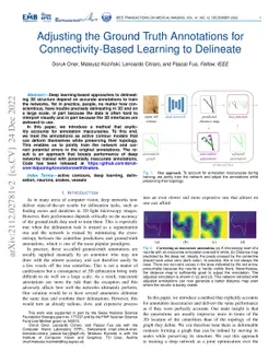 Adjusting the Ground Truth Annotations for Connectivity-Based Learning
  to Delineate