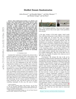 Distilled Domain Randomization