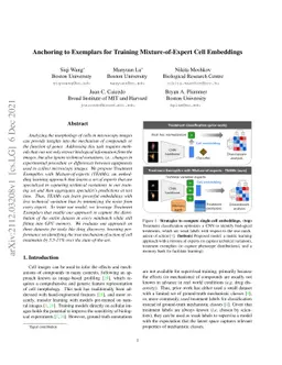 Anchoring to Exemplars for Training Mixture-of-Expert Cell Embeddings