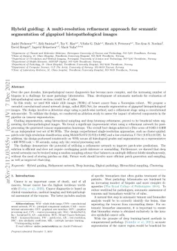 Hybrid guiding: A multi-resolution refinement approach for semantic
  segmentation of gigapixel histopathological images