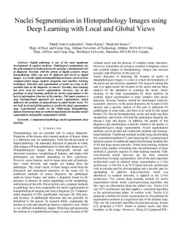 Nuclei Segmentation in Histopathology Images using Deep Learning with
  Local and Global Views