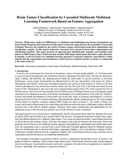 Brain Tumor Classification by Cascaded Multiscale Multitask Learning
  Framework Based on Feature Aggregation