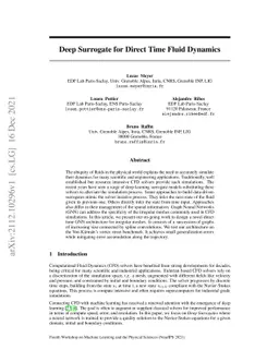 Deep Surrogate for Direct Time Fluid Dynamics