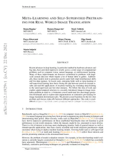 Meta-Learning and Self-Supervised Pretraining for Real World Image
  Translation