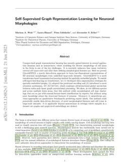 Self-Supervised Graph Representation Learning for Neuronal Morphologies