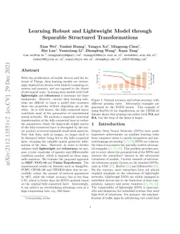 Learning Robust and Lightweight Model through Separable Structured
  Transformations