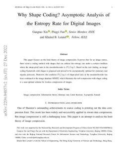 Why Shape Coding? Asymptotic Analysis of the Entropy Rate for Digital
  Images
