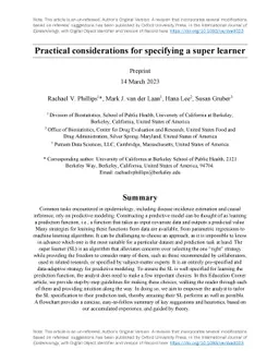 Practical considerations for specifying a super learner