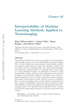 Interpretability of Machine Learning Methods Applied to Neuroimaging