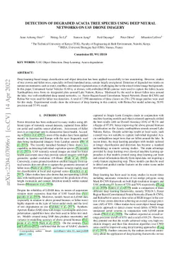 Detection of Degraded Acacia tree species using deep neural networks on
  uav drone imagery