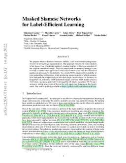 Masked Siamese Networks for Label-Efficient Learning