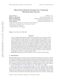 Hierarchical Optimal Transport for Comparing Histopathology Datasets