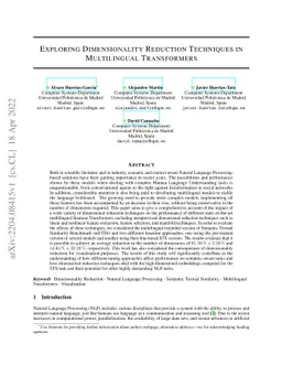 Exploring Dimensionality Reduction Techniques in Multilingual
  Transformers