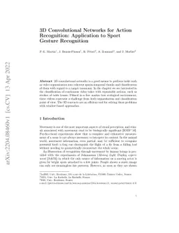 3D Convolutional Networks for Action Recognition: Application to Sport
  Gesture Recognition