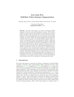 Less than Few: Self-Shot Video Instance Segmentation