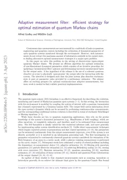 Adaptive measurement filter: efficient strategy for optimal estimation
  of quantum Markov chains