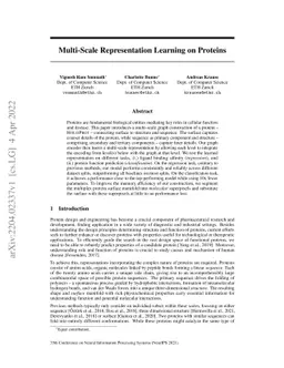 Multi-Scale Representation Learning on Proteins