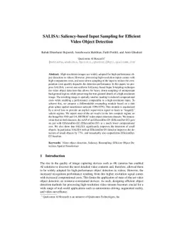 SALISA: Saliency-based Input Sampling for Efficient Video Object
  Detection