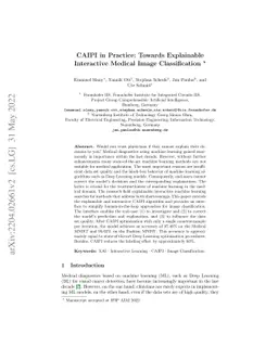 CAIPI in Practice: Towards Explainable Interactive Medical Image
  Classification