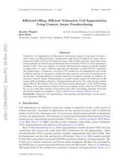 EfficientCellSeg: Efficient Volumetric Cell Segmentation Using Context
  Aware Pseudocoloring