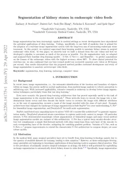 Segmentation of kidney stones in endoscopic video feeds
