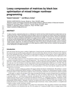 Lossy compression of matrices by black-box optimisation of mixed integer
  nonlinear programming