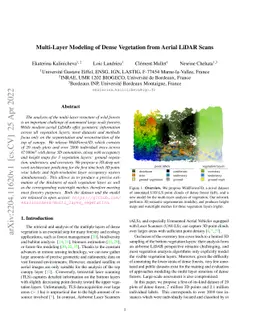 Multi-Layer Modeling of Dense Vegetation from Aerial LiDAR Scans